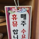 햇살마루청둥오리 이미지