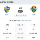 2023년 5월9일(화) 울산현대 VS 강원FC 울산 문수 경기장 경기일정 이미지