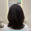 수&정헤어 | 왕십리 최첨단 미용실 '헤어로그정' | 레이어드컷 + 톤다운 후기 🩶 얼굴형·퍼스널컬러까지 진단해주는 곳