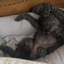 지영침구