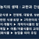 씨드림 이미지