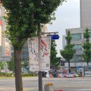 [내돈내산] 강릉 '단오제' 몽림&amp;인생건어물, 감자아이스크림, 닭꼬치