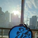 영남대학교 일반대학원 이미지