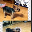 동남중학교 이미지