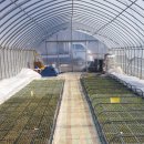 예닮농장 이미지