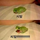 안쉼
