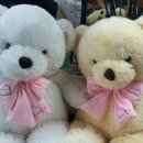 영덕세탁소 이미지