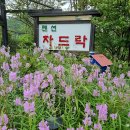 경호펜션 | 안면도 대가족 단독 고급 독채펜션 백호경호님의 후기