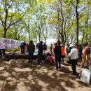 장성 꽃 화원 이미지