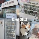 아띠 | 반려동물수제간식 펫푸드클래스 익산 마루아띠 방문 후기