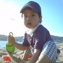(주)호 Daum카페