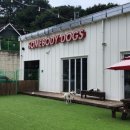 썸바디독스 파주분점 이미지