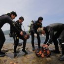 타이어마을 이미지