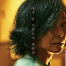 신비돌스 랙돌 캐터리 이미지