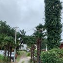 버스정류소_세기아파트 이미지