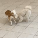 라이크몽 이미지