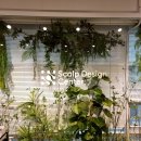 스칼프디자인센터 이미지