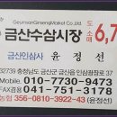 금산수삼센타7호