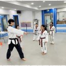 경희대 수 태권도장 이미지