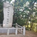 백정 - 울릉군 봉래2길 11 | 백정