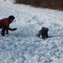 하얀낭만 이미지