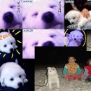 추억속의 이야기 이미지