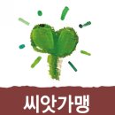 세교아트