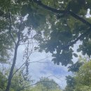 밤나무계곡민박 이미지