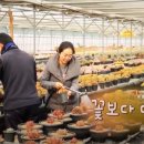 박종남농장 이미지