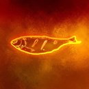 HIGH-CLASS(하이클레스) 이미지