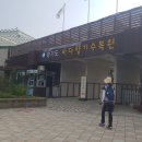 1366회 평낮화요걷기(9.12)안산시티투어/ 대부해솔길,대부광산퇴적암층, 바다향기수목원다녀왔습니다. 이미지