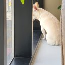 김해 동물병원 이미지