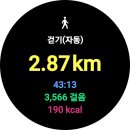나.오늘 이미지