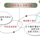 신바이오 이미지