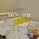 스테이션 | 후쿠오카 하카타 숙소 추천 네스트 호텔 하카타 스테이션 후기 위치 가격 정보 총정리