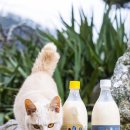 (주)삼진에너지 이미지