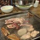 황금생오리 이미지