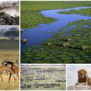 세계 자연문화 유산 10곳 이미지