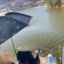 태금상사 이미지