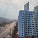 진잠타운 아파트 버스정류장 | 대전 탄성코트 원내동 진잠타운아파트 베란다 오염 곰팡이제거 단열 페인트 시공후기