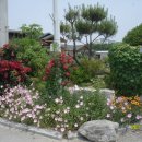 장계농장 이미지