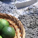 풀벗아그리투리스모 이미지