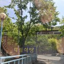 대림식당 | 반려견과 눈치 없는 한 끼🐶 대구 가창 대림식당 솔직 후기