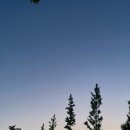 곱분이곱창파주법원리점 | 파주 - 탕수육 , 말똥도넛 , 법원리곱분이곱창 (6월의 생일)