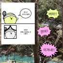 안프로테니스