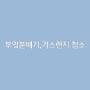모아크린 이미지