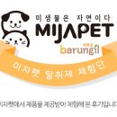 미자애견 이미지
