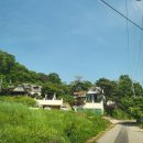 제제펜션 이미지