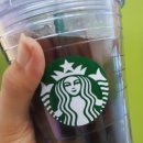 도꼬돈카츠 이미지