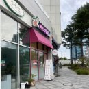 [세종 디저트 맛집] 마이요거트립 어진점 포장 후기 단단한 말차초코쉘 깨부수며 느끼는 행복한 한 스푼!